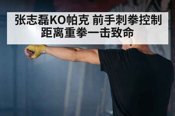 张志磊KO帕克 前手刺拳控制距离重拳一击致命
