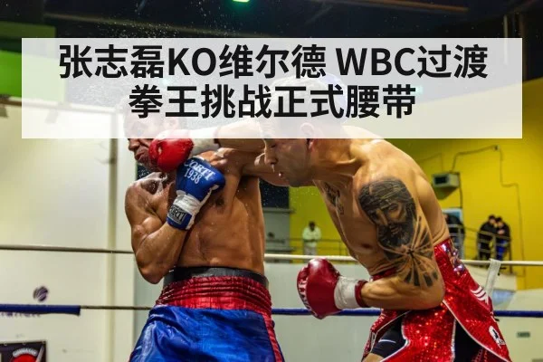 张志磊KO维尔德 WBC过渡拳王挑战正式腰带